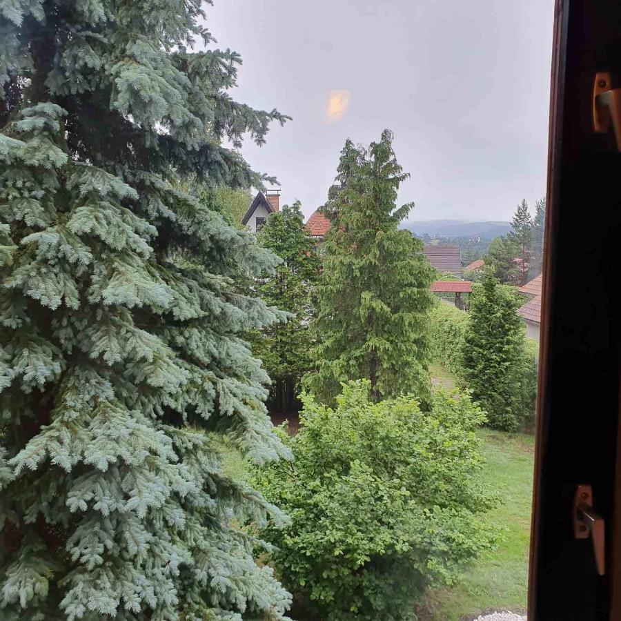 Planinska Kuca Sa Dvoristem Villa Zlatibor Exteriör bild