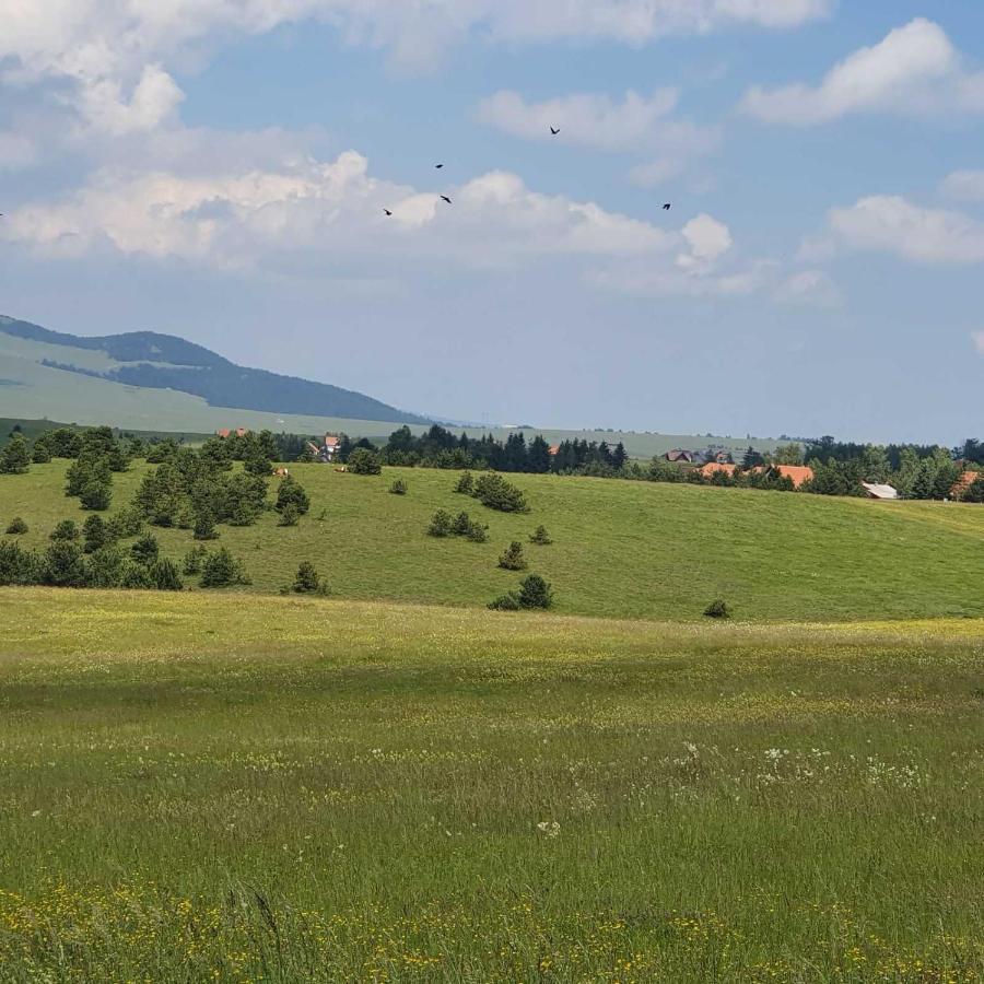 Planinska Kuca Sa Dvoristem Villa Zlatibor Exteriör bild