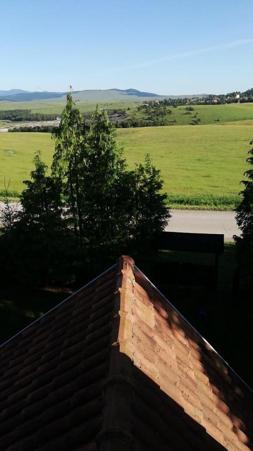 Planinska Kuca Sa Dvoristem Villa Zlatibor Exteriör bild