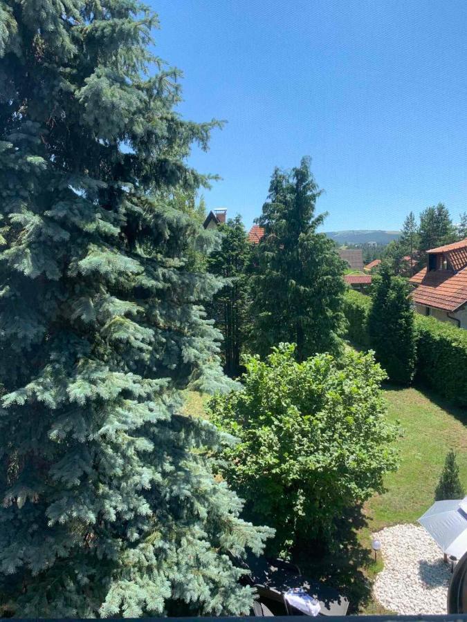 Planinska Kuca Sa Dvoristem Villa Zlatibor Exteriör bild