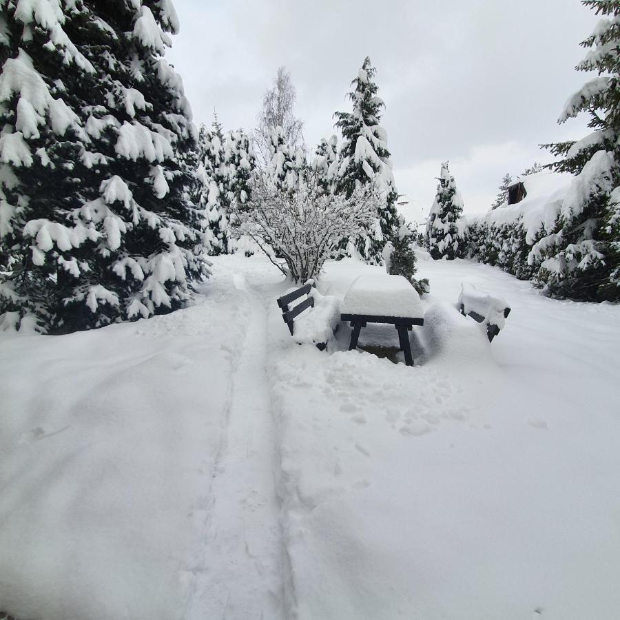 Planinska Kuca Sa Dvoristem Villa Zlatibor Exteriör bild